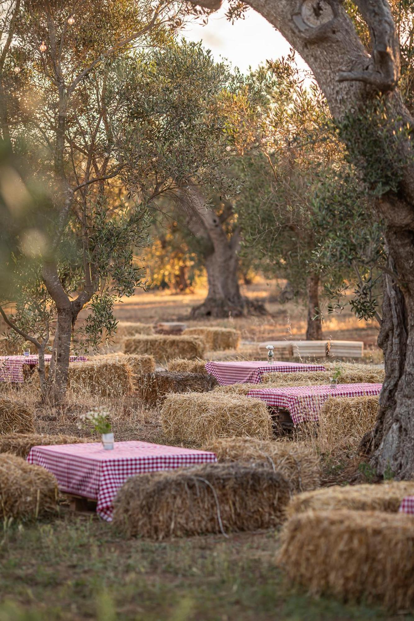 Le Chiese Azienda Bio Agri Turistica San Pietro in Lama Exterior photo